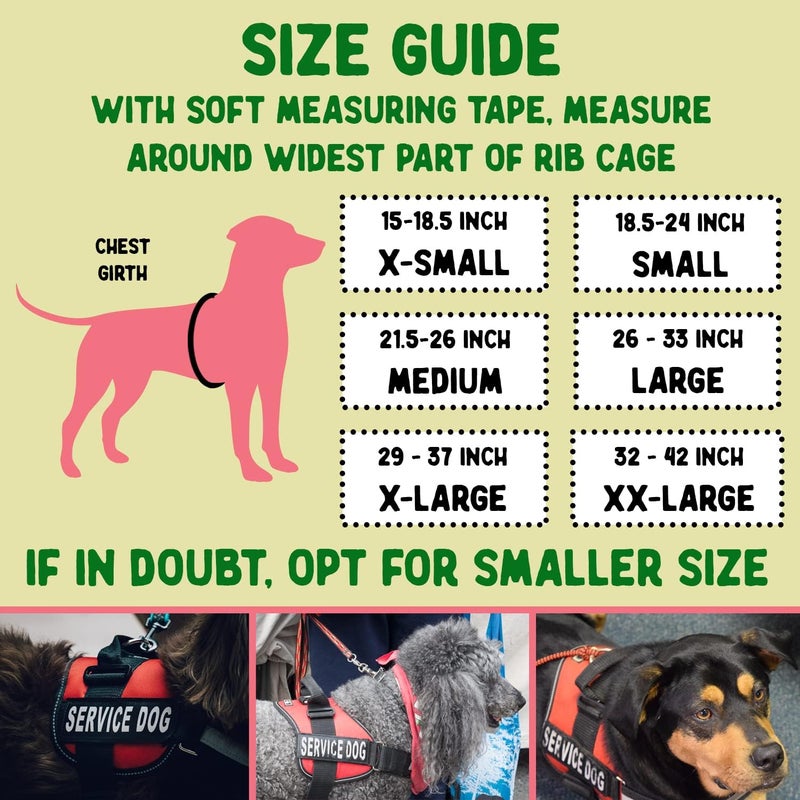 Pelto Service Dog Vest + ID Tag + 50 ADA Information Cards - Service Dog Harness w Patch in Sizes X Small to XX Large, Metal Dog Tag has Durable Clip, Service Animal Information Cards. ESA Accessory Set - Image 2